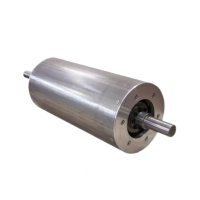 Magnetic Separator Roller