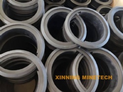 Sealing Ring